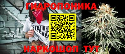 бошки Обнинск