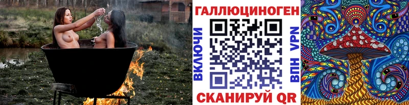 blacksprut tor  Шебекино  Галлюциногенные грибы Cubensis 