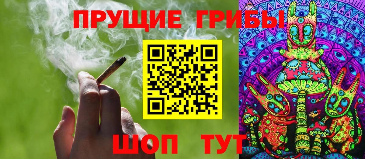 Галлюциногенные грибы Cubensis Шебекино
